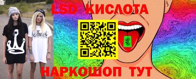 стаф Шелехов