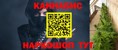 стаф Шелехов