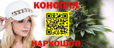 стаф Шелехов
