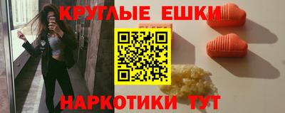 стаф Шелехов