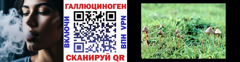 Галлюциногенные грибы GOLDEN TEACHER Северодвинск