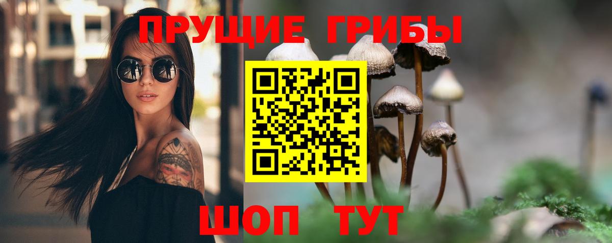 Псилоцибиновые грибы GOLDEN TEACHER Северодвинск